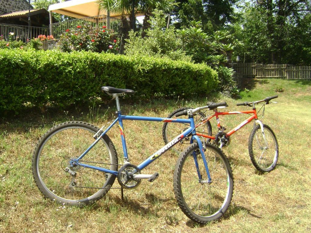 SantʼAlfio Ai Vecchi Crateriゲストハウス エクステリア 写真